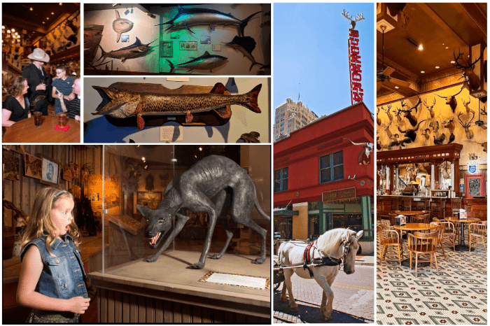 Buckhorn Saloon and Museum featured